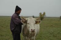 Foto_Mile Orsolya - 