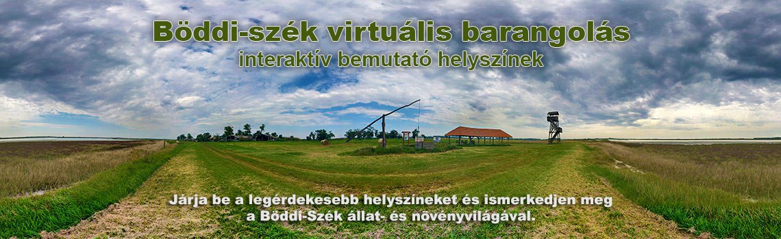 Böddi-szék virtuális barangolás